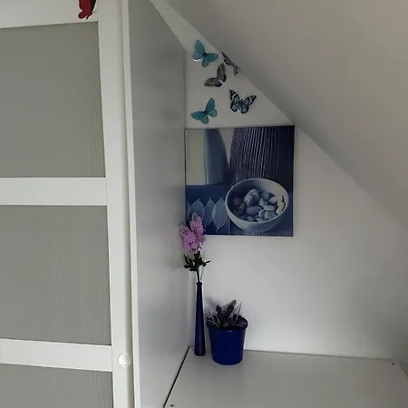 Luxury In A New House *